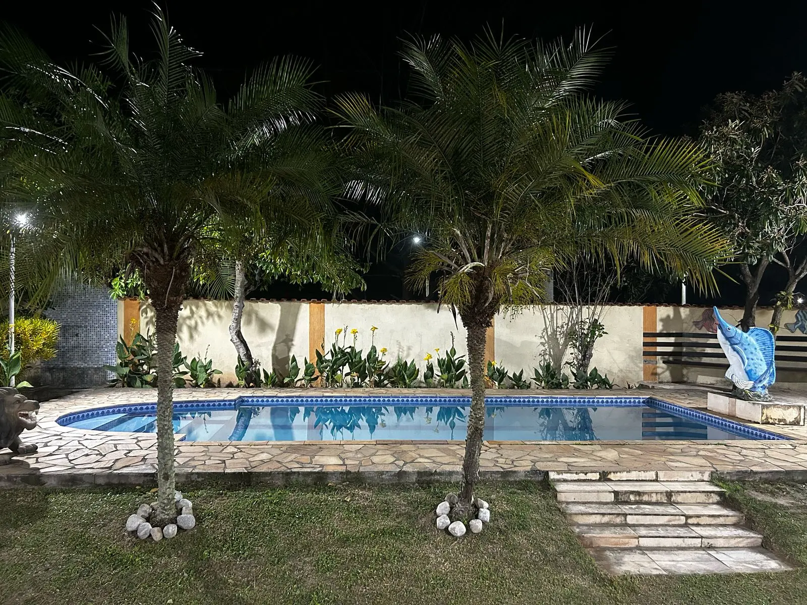 Piscina com coqueiros de noite